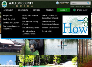 Walton County Government Page